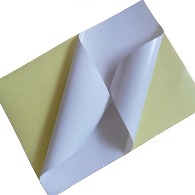 Hoja de papel echada SS0111 de la etiqueta engomada revestida con pegamento adhesivo fuerte estupendo