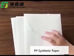 Material de etiqueta adhesivo de papel sintético de PP mate
